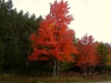 Fall in Lovells Township