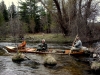 North Branch of the AuSable River- Fishing