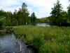 AuSable River Fishing