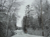 Bridge in Winter