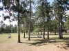 Warblers Hideaway Association Grounds West