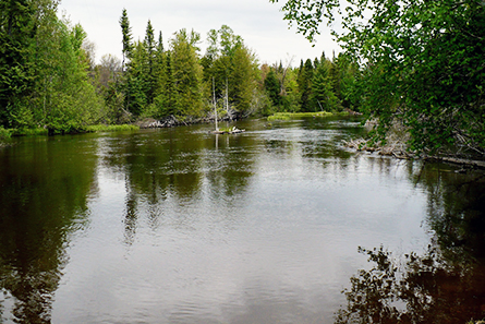 View of AuSauble River - Lovells Township