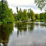 Au Sable North Branch Area Foundation