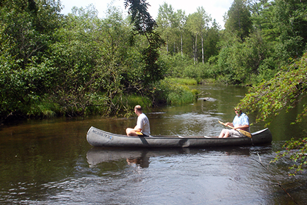 Canoeing on the Ausable River - Lovells Township