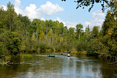 Kayaking on the North Branch of the Au Sable River - Lovells Township