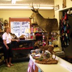 Suddon-ly Alive Taxidermy & Gifts